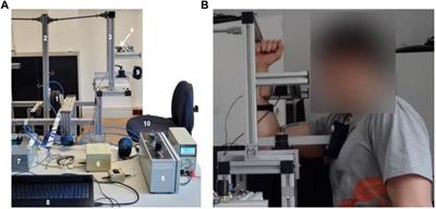 Repeated measurements of Adaptive Force: Maximal holding capacity differs from other maximal strength parameters and preliminary characteristics for non-professional strength vs. endurance athletes